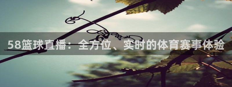 58篮球直播：全方位、实时的体育赛事体验